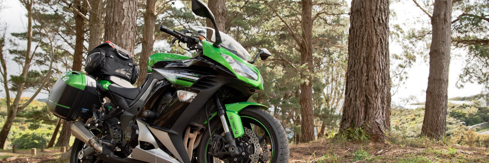 Green bike parked under trees