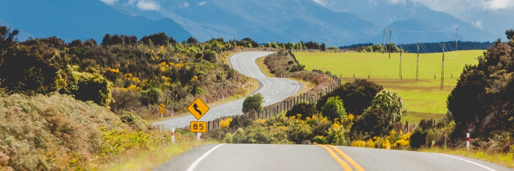 Windy open road through shrubs and paddocks